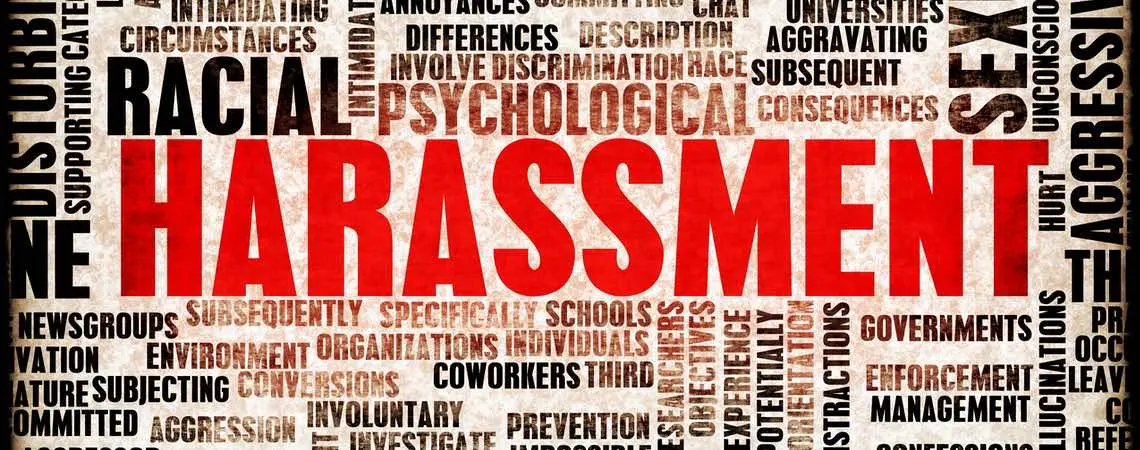 Intersectional Harassment - A Comprehensive Examination